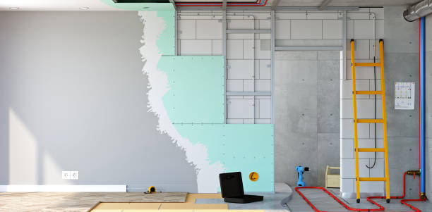 Best Mold Damage Restoration  in Rupert, ID