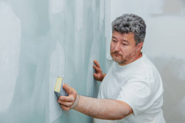 Best Mold Odor Removal Services  in Rupert, ID