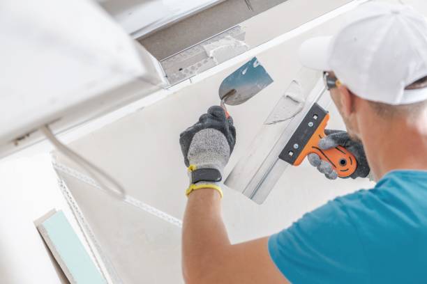 Rupert, ID Mold Removal Company